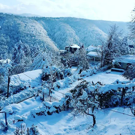 Menzara Konaklama Tatil Evi *